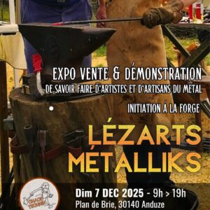 affiche lezarts metalliques